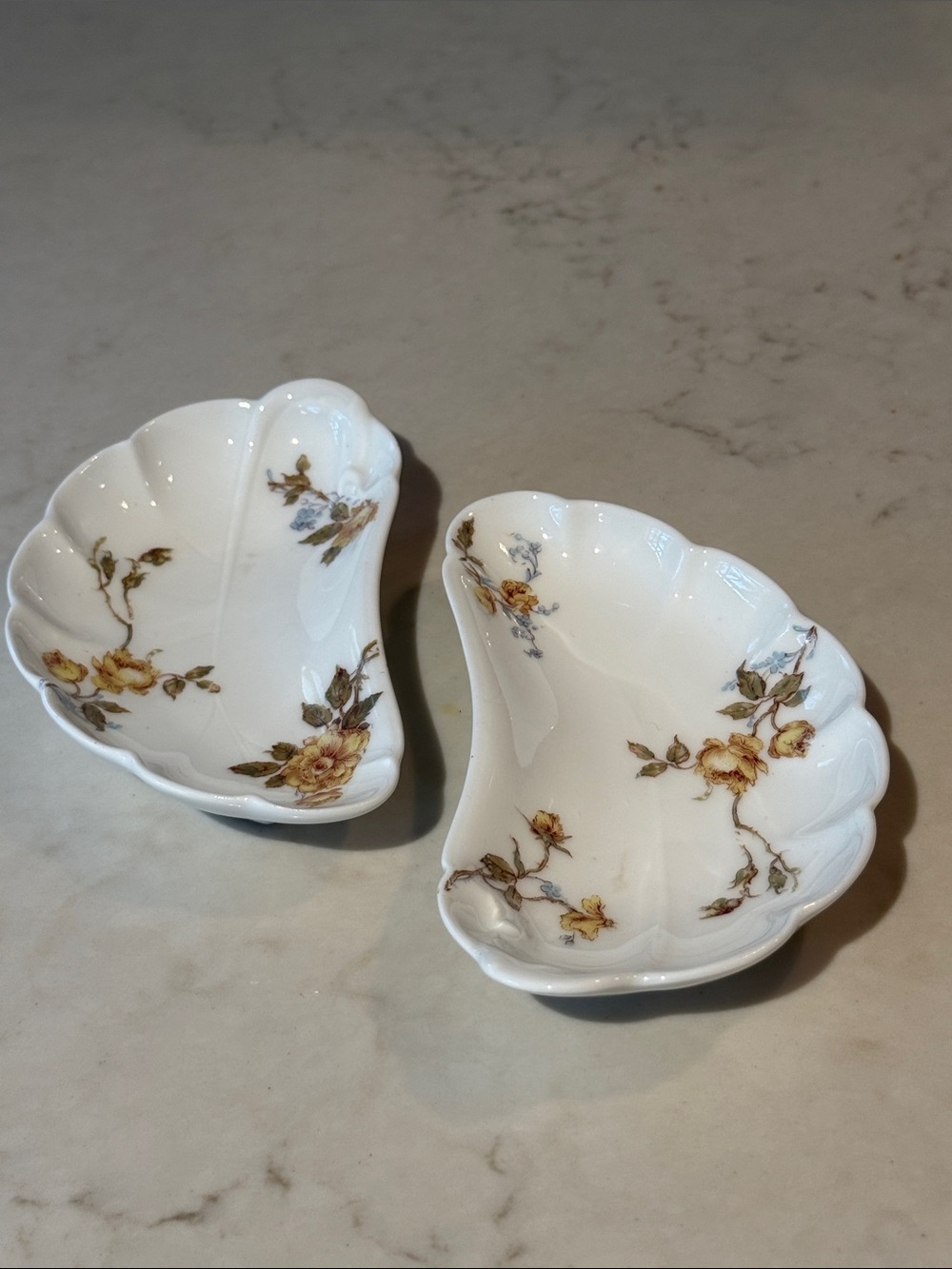 Haviland & Co. Antique Limoges Bone Dish set
Schleiger pattern 266 circa 1890s